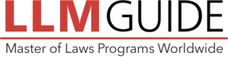Logo LLM Guide
